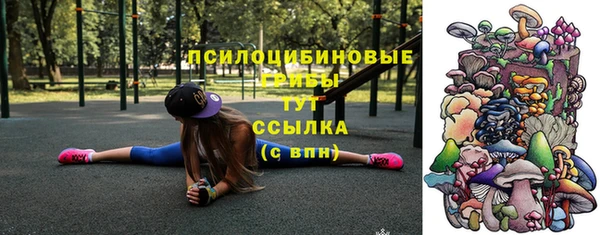 дмт Алексеевка